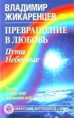 Владимир Жикаренцев - Превращение в Любовь. Том 2. Пути небесные