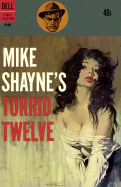 Brett Halliday Mike Shayne's Torrid Twelve обложка книги