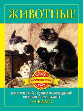 С Дмитренко Животные. Произведения русских писателей о животных обложка книги