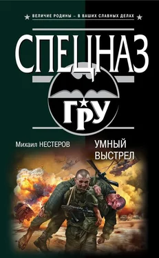 Михаил Нестеров Умный выстрел обложка книги