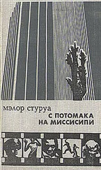 Мэлор Стуруа - С Потомака на Миссисипи - несентиментальное путешествие по Америке