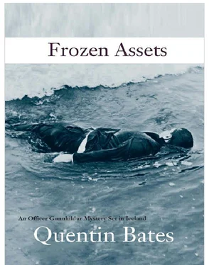 Quentin Bates Frozen Assets обложка книги