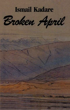 Ismail Kadare Broken April обложка книги