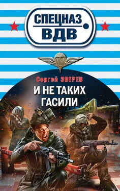 Сергей Зверев И не таких гасили обложка книги