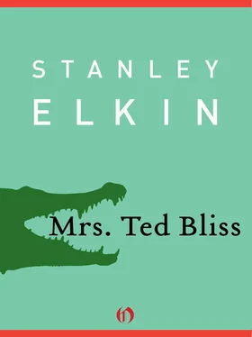 Stanley Elkin Mrs. Ted Bliss обложка книги