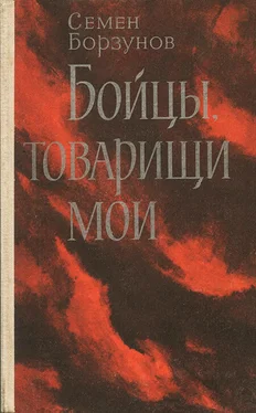 Семен Борзунов Бойцы, товарищи мои обложка книги