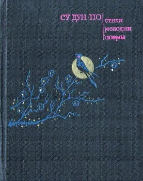 Су Дун-по Стихи. Мелодии. Поэмы обложка книги