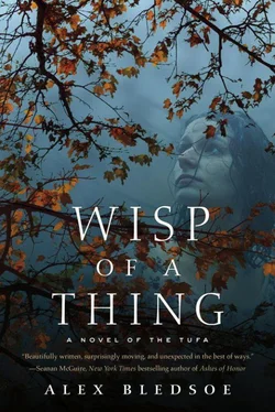 Alex Bledsoe Wisp of a Thing обложка книги