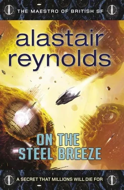 Alastair Reynolds On the Steel Breeze обложка книги