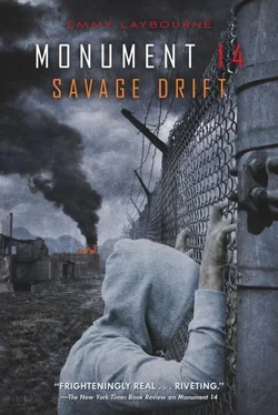 Emmy Laybourne Savage Drift обложка книги