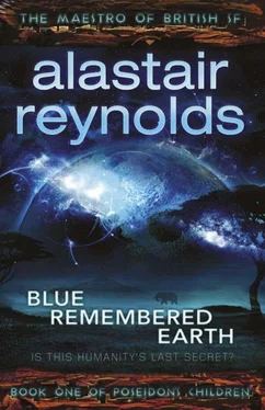 Alastair Reynolds Blue Remembered Earth обложка книги