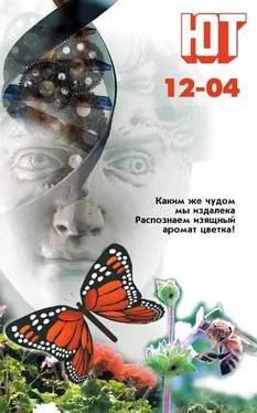 Журнал «Юный техник» Юный техник, 2004 № 12 обложка книги