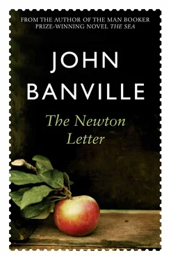John Banville The Newton Letter обложка книги