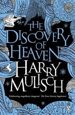 Harry Mulisch The Discovery of Heaven обложка книги