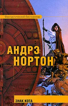 Андрэ Нортон Знак Кота обложка книги