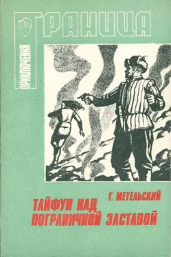 Георгий Метельский Тайфун над пограничной заставой обложка книги