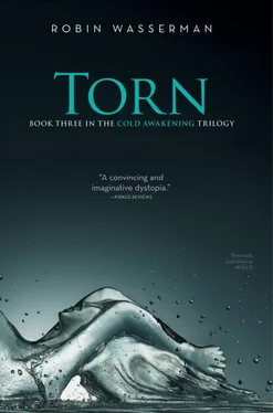 Robin Wasserman Torn обложка книги