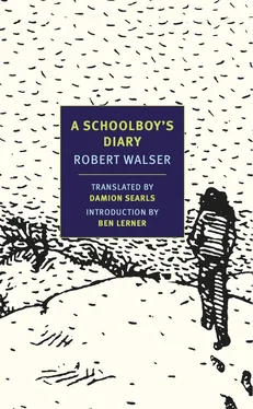 Robert Walser A Schoolboy's Diary and Other Stories обложка книги