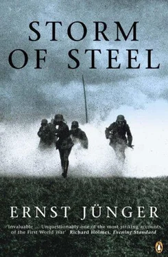 Ernst Jünger Storm of Steel обложка книги