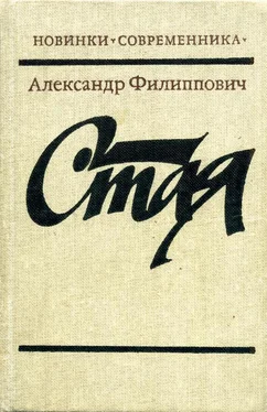 Александр Филиппович Стая обложка книги