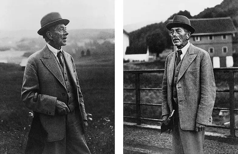 threepiece suit the soft collar the tiepin the liverspots on the back of - фото 6