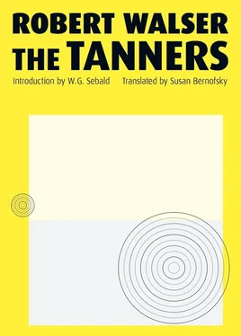 Robert Walser The Tanners обложка книги