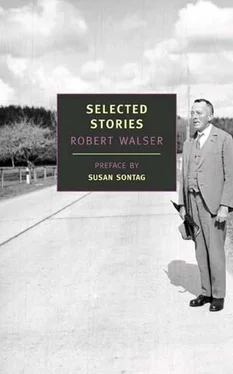 Robert Walser Selected Stories обложка книги