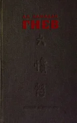 Александр Хамадан - Гнев