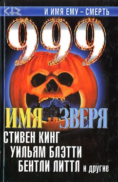 Джо Лансдейл Лето бешеного пса обложка книги