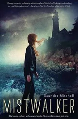 Saundra Mitchell - Mistwalker