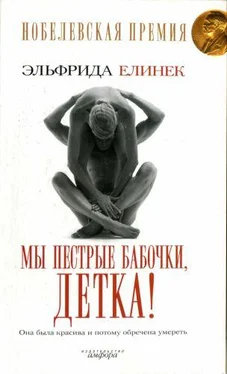 Эльфрида Елинек Мы пёстрые бабочки, детка! обложка книги