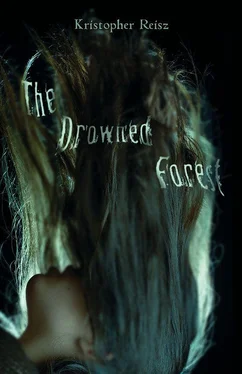 Kristopher Reisz The Drowned Forest обложка книги