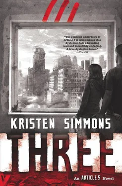 Kristen Simmons Three обложка книги