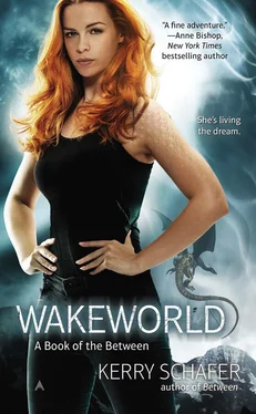 Kerry Schafer Wakeworld обложка книги