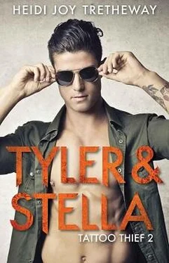 Heidi Tretheway Tyler & Stella обложка книги