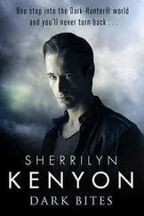 Sherrilyn Kenyon - Dark Bites