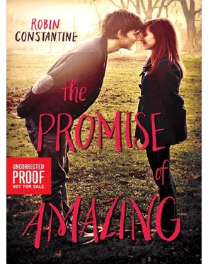 Robin Constantine The Promise of Amazing