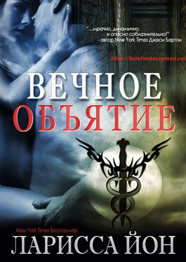 Ларисса Йон Вечное объятие (Демоника – 4,5) (ЛП) обложка книги