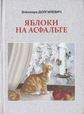 Элеонора Долгилевич Яблоки на асфальте обложка книги
