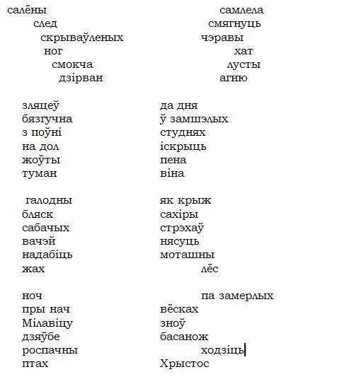 СНЕГ між зямлёю і небам губляюцца межы снег кладзецца на снег прабіваючы - фото 2