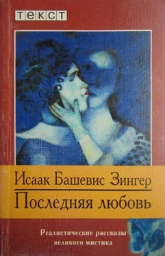 Исаак Зингер Последняя любовь обложка книги