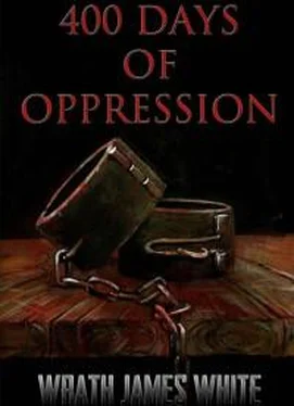 Рот Уайт 400 Days of Oppression обложка книги