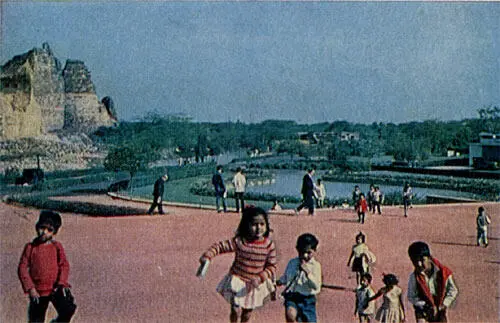 Дети в зоопарке Дели Площадь перед дворцом президента Висакхапатнам - фото 39