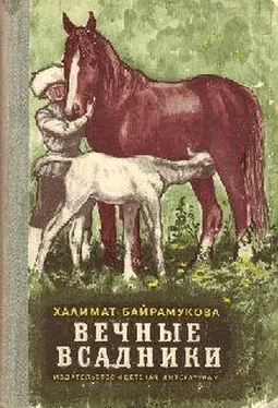 Х.Байрамукова ВЕЧНЫЕ ВСАДНИКИ обложка книги