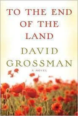 David Grossman To the End of the Land обложка книги