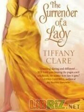 Tiffany Clare The Surrender of a Lady обложка книги