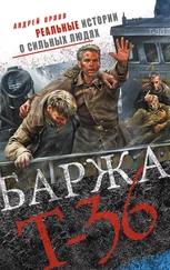 Андрей Орлов - Баржа Т-36. Пятьдесят дней смертельного дрейфа