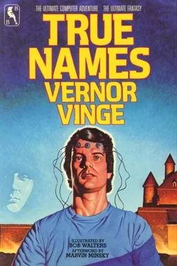 Vernor Vinge True Names обложка книги