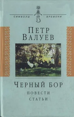 Пётр Валуев Черный бор: Повести, статьи обложка книги