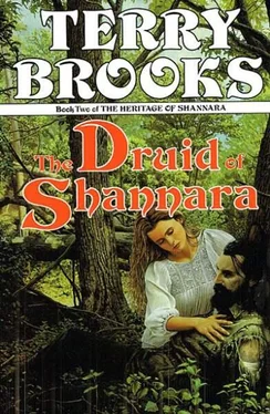 Терри Брукс The Druid of Shannara обложка книги